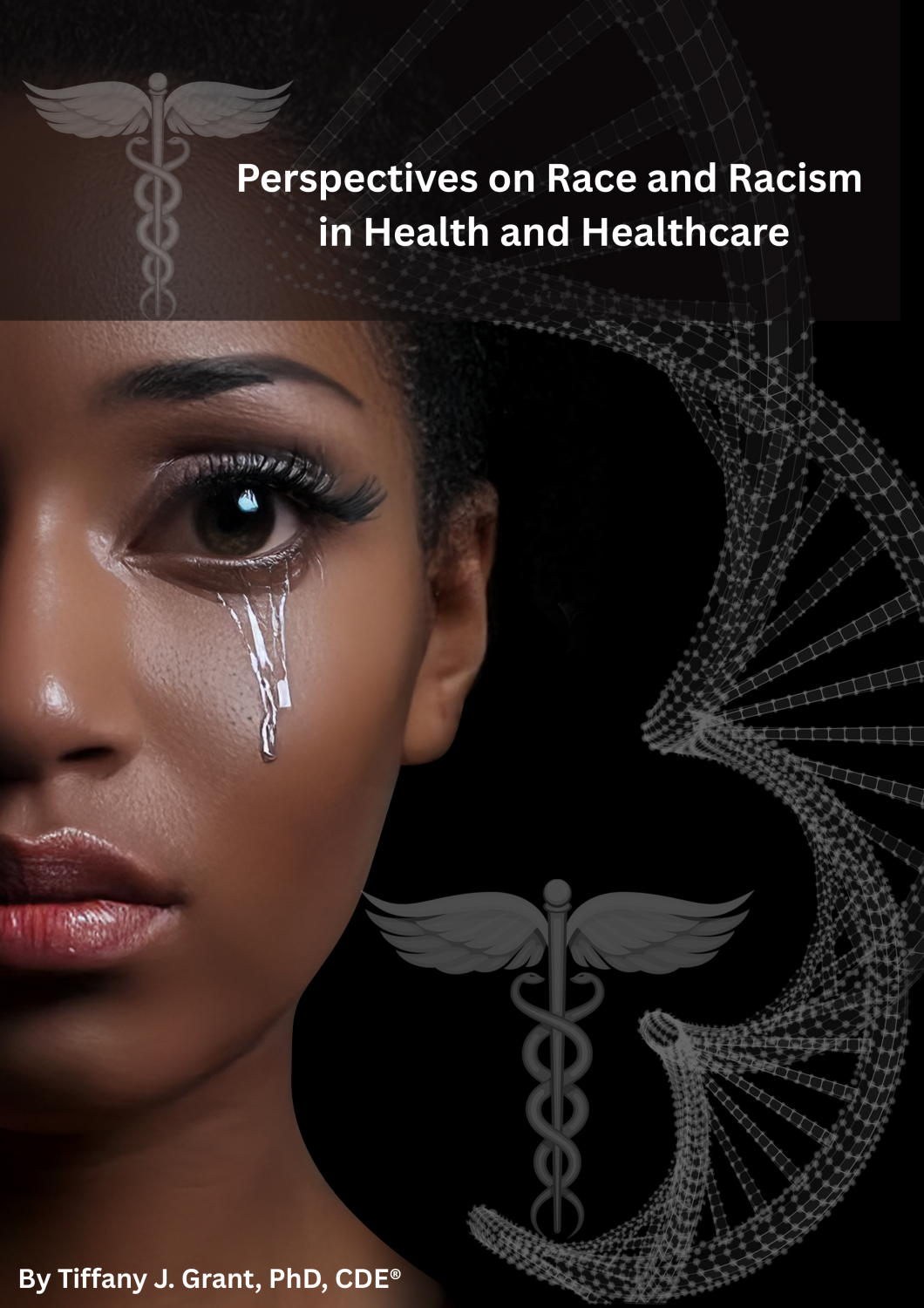 Cover image for Perspectives on Race and Racism in Health and Healthcare